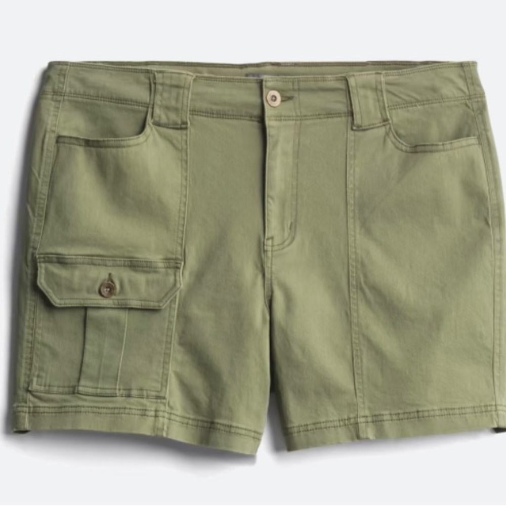 NWT Stitch Fix Market & Spruce Carmellia High Rise Cargo Shorts 22 22W